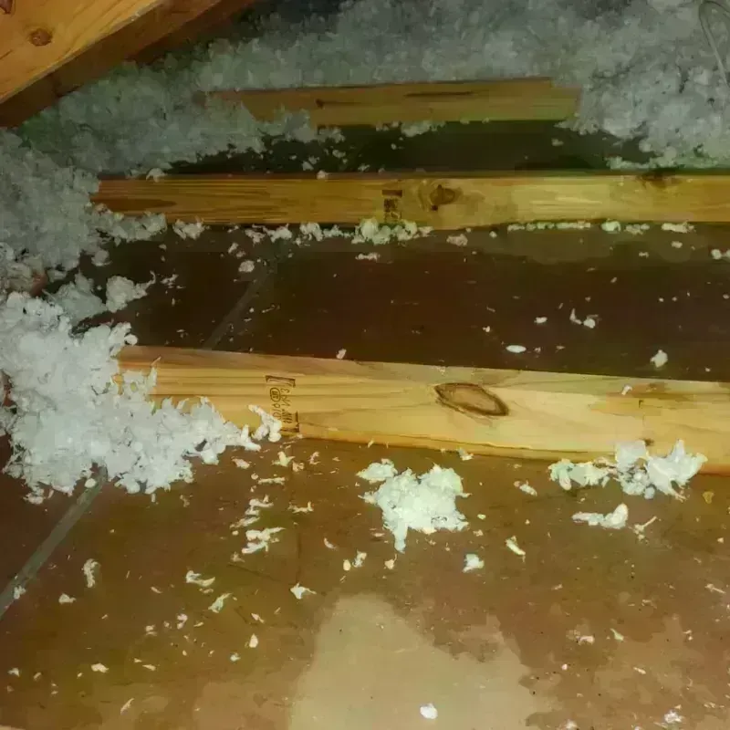 Attic Water Damage in Bureau County, IL