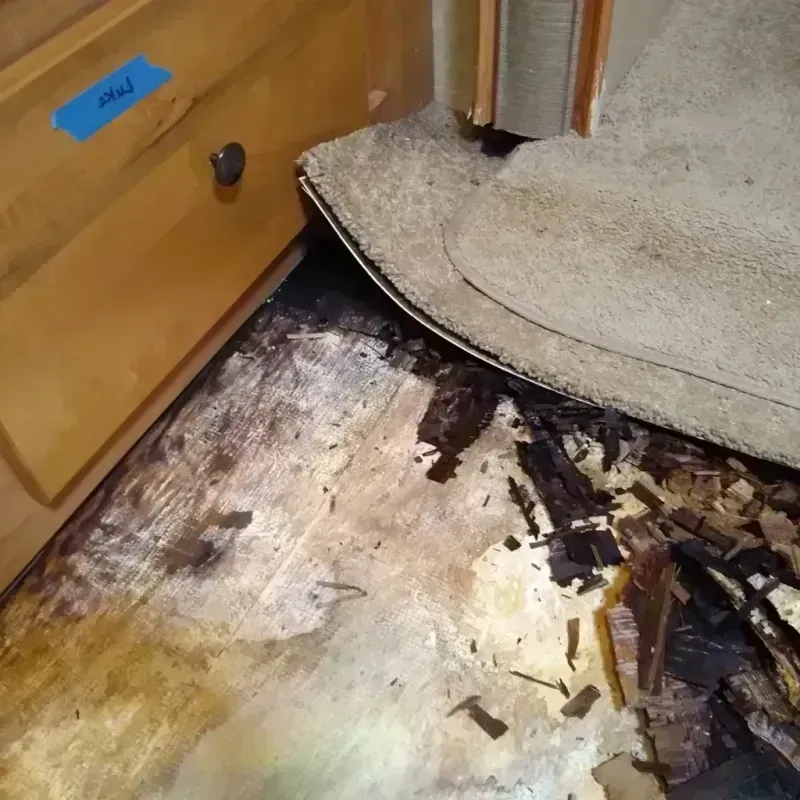 Wood Floor Water Damage in Bureau County, IL